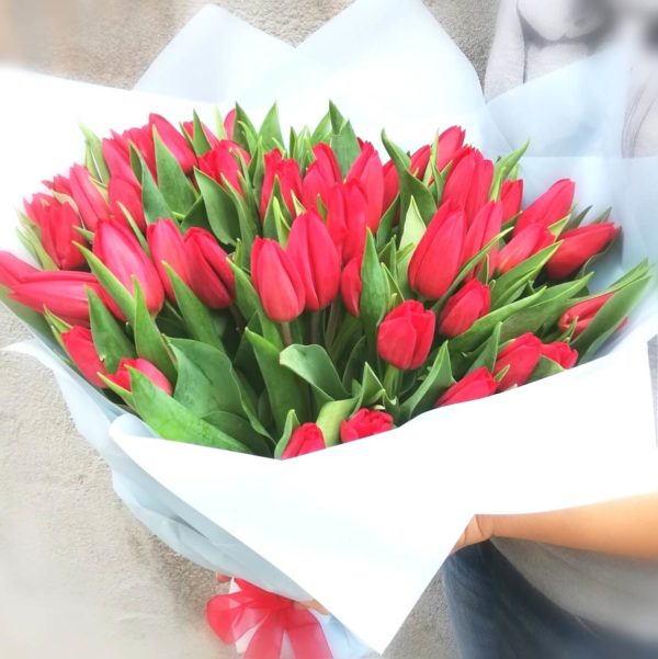 51 scarlet tulip bouquet