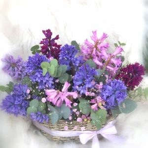 Basket with hyacinths