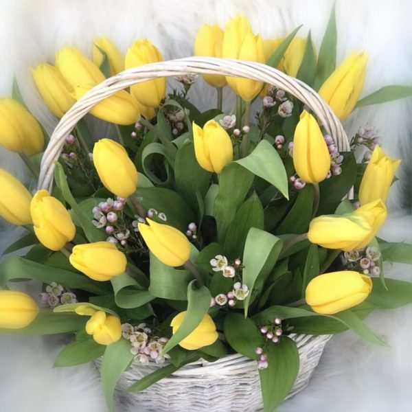 Yellow tulips in a basket